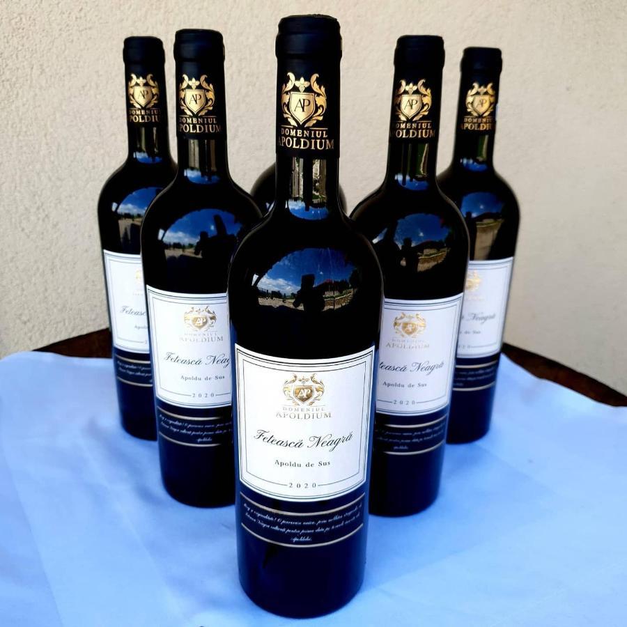Cabana Dintre VII Apoldu de Sus Екстер'єр фото